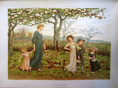 kate greenaway